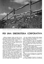 giornale/CFI0350904/1936/unico/00000410