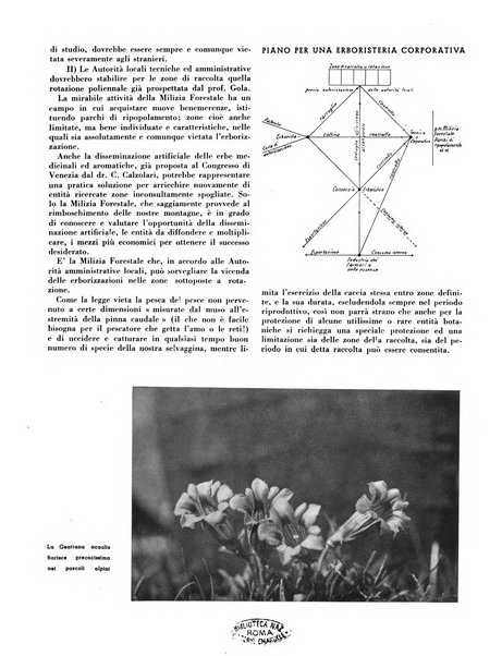 Cooperazione rurale rivista mensile