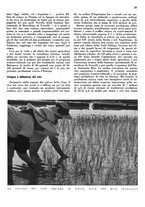 giornale/CFI0350904/1936/unico/00000423