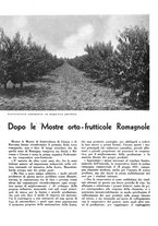 giornale/CFI0350904/1936/unico/00000482