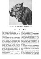 giornale/CFI0350904/1936/unico/00000490