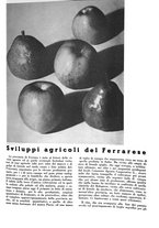 giornale/CFI0350904/1937/unico/00000019