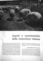 giornale/CFI0350904/1937/unico/00000023
