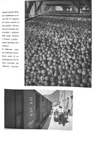 giornale/CFI0350904/1937/unico/00000031