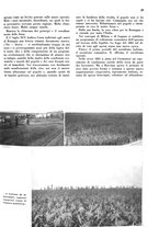 giornale/CFI0350904/1937/unico/00000033