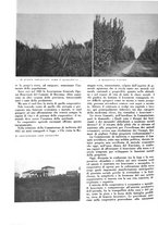 giornale/CFI0350904/1937/unico/00000034