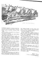 giornale/CFI0350904/1937/unico/00000041