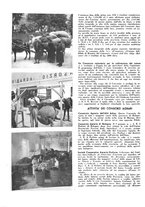 giornale/CFI0350904/1937/unico/00000048