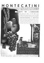 giornale/CFI0350904/1937/unico/00000061