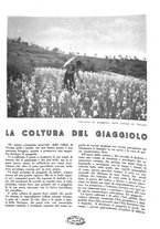 giornale/CFI0350904/1937/unico/00000085