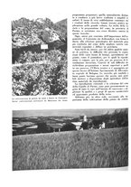 giornale/CFI0350904/1937/unico/00000090