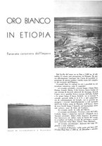 giornale/CFI0350904/1937/unico/00000138