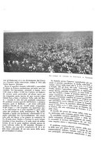 giornale/CFI0350904/1937/unico/00000141