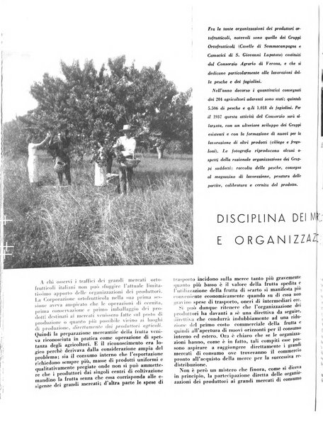 Cooperazione rurale rivista mensile