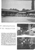 giornale/CFI0350904/1937/unico/00000151