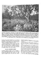 giornale/CFI0350904/1937/unico/00000165