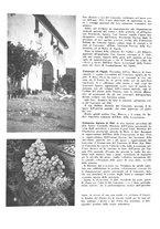 giornale/CFI0350904/1937/unico/00000166