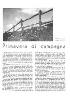 giornale/CFI0350904/1937/unico/00000271