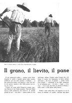 giornale/CFI0350904/1937/unico/00000326