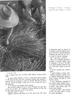 giornale/CFI0350904/1937/unico/00000398