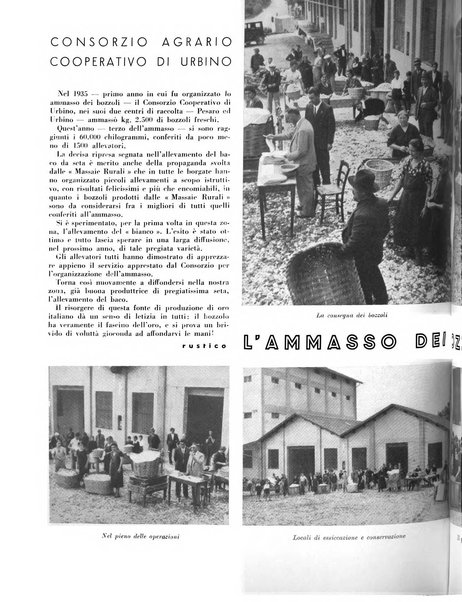 Cooperazione rurale rivista mensile