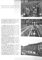 giornale/CFI0350904/1937/unico/00000417