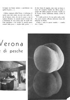 giornale/CFI0350904/1937/unico/00000475