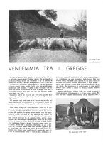 giornale/CFI0350904/1937/unico/00000482