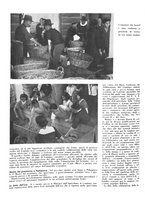 giornale/CFI0350904/1937/unico/00000486
