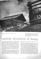 giornale/CFI0350904/1937/unico/00000519