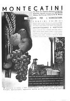 giornale/CFI0350904/1937/unico/00000565