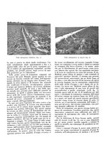 giornale/CFI0350904/1937/unico/00000582