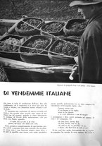 giornale/CFI0350904/1937/unico/00000591