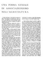 giornale/CFI0350904/1938/unico/00000020