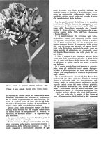 giornale/CFI0350904/1938/unico/00000024