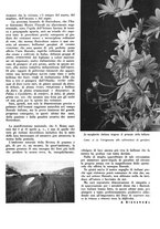 giornale/CFI0350904/1938/unico/00000025