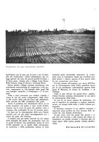 giornale/CFI0350904/1938/unico/00000040