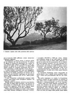 giornale/CFI0350904/1938/unico/00000086