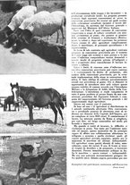 giornale/CFI0350904/1938/unico/00000094