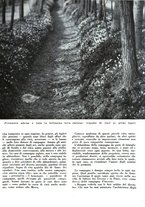 giornale/CFI0350904/1938/unico/00000099