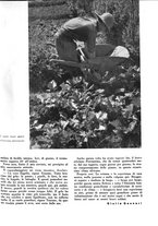 giornale/CFI0350904/1938/unico/00000107