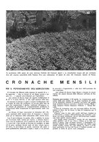 giornale/CFI0350904/1938/unico/00000112