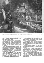 giornale/CFI0350904/1938/unico/00000146