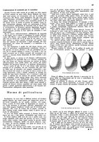giornale/CFI0350904/1938/unico/00000177