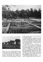 giornale/CFI0350904/1938/unico/00000218