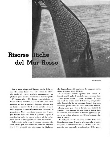 Cooperazione rurale rivista mensile