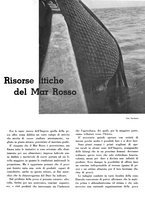 giornale/CFI0350904/1938/unico/00000275