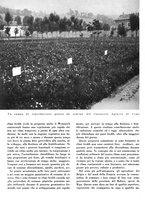 giornale/CFI0350904/1938/unico/00000286