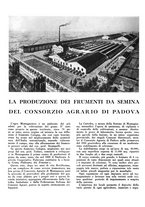 giornale/CFI0350904/1938/unico/00000288