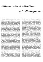 giornale/CFI0350904/1938/unico/00000339